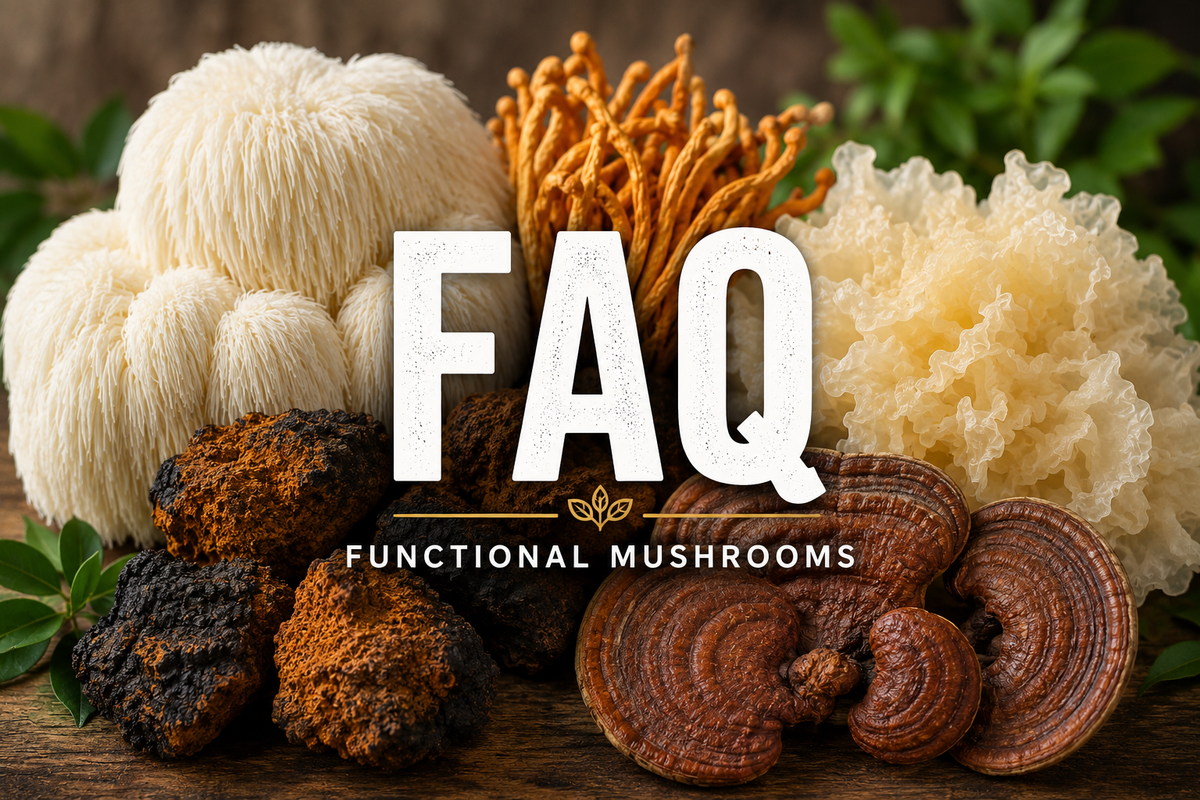 What Are Functional Mushrooms? A Beginner's Guide to Their Uses and Potential Benefits